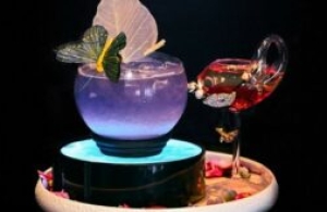 Celestyal lance sa tournée dans le Golfe